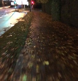 Fond feuille morte
